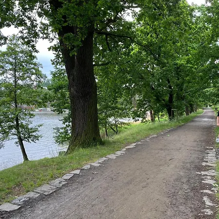 Paloucek Apartament